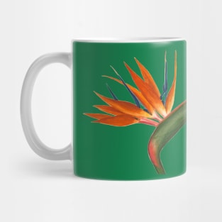 Tangerine Lime Bird of Paradise Flower Mug